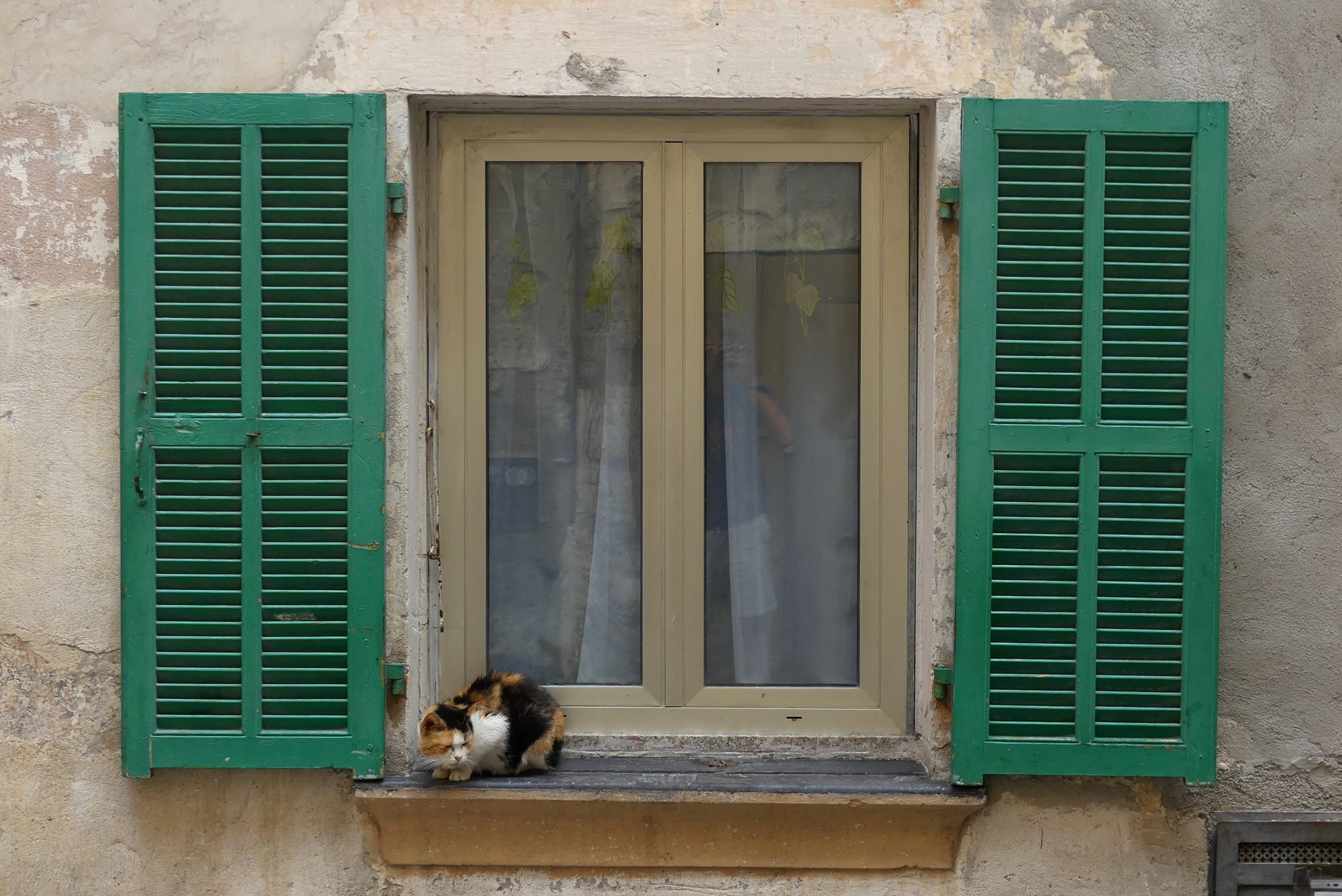 Fenster mit Katze in der Altstadt von Ventimiglia Italien