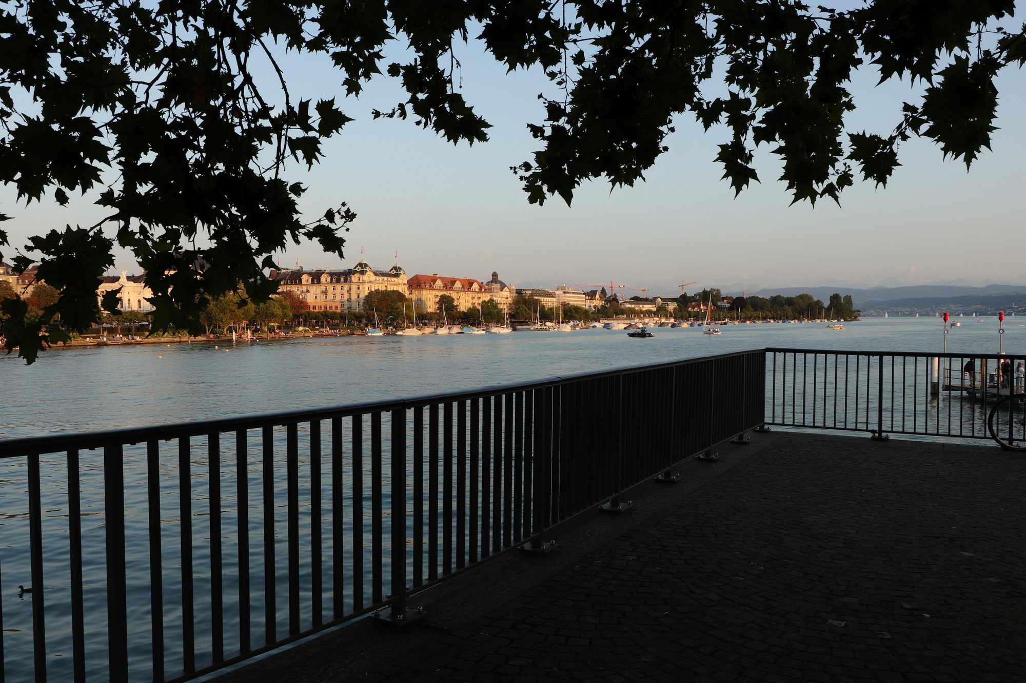 Der Zürichsee im Sonnenuntergang Zürich