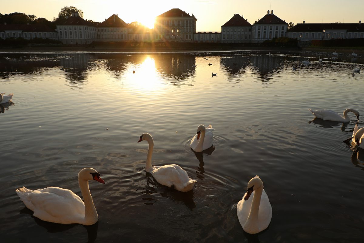 München Schloss Nymphenburg mit Schwänen zu Sonnenuntergang
