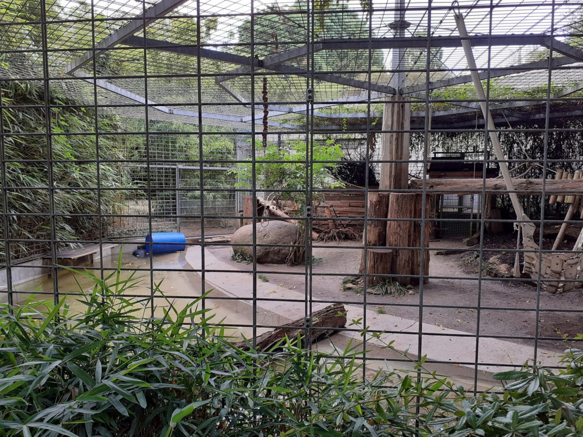 Das alte Tigergehege im Zoo Heidelberg