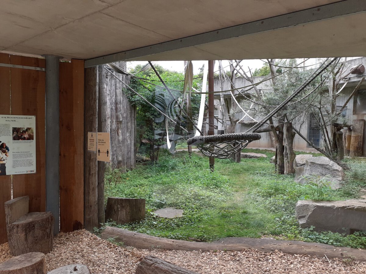 Einblickmöglichkeit in die Schimpansenanlage im Zoo Heidelberg
