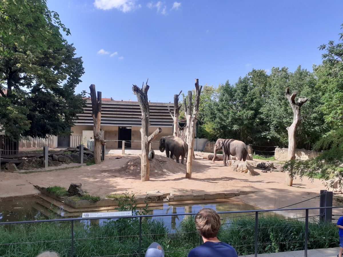 Die Elefanten-Anlage in der Wilhelma Stuttgart