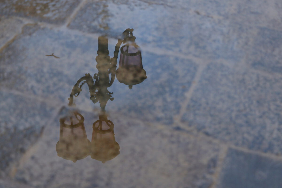 Venedig Laterne Spiegelung in Pfütze Möwe Reisefotografie Italien