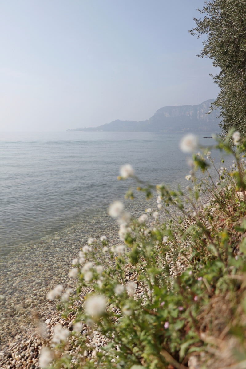 Gardasee Landschaft Lago di Garda