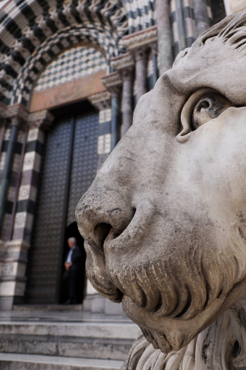 Genua Genova Cattedrale di San Lorenzo Kirche Portal steinerner Löwe Statue Altstadt Ligurien Italien Reisefotografie