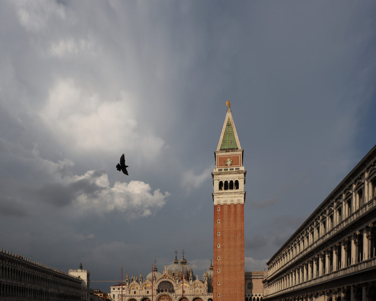 Venedig Venezia Piazza San Marco Markusplatz Campanile Taube