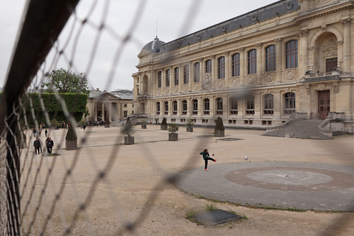 Paris France Grande Galerie de l'Évolution Jardin des Plantes Streetphotography