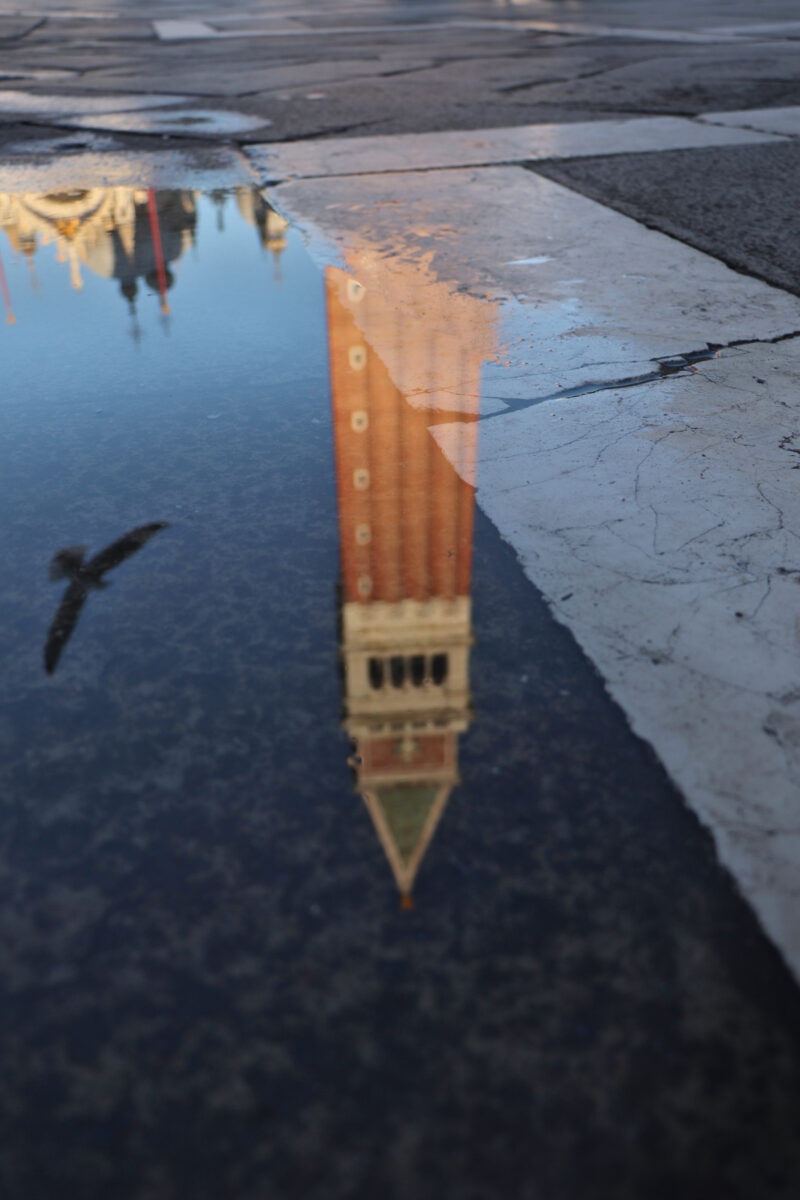 Venezia Venedig Piazza San Marco Markusplatz Campanile Spiegelung Reflektion Abendlicht Goldene Stunde