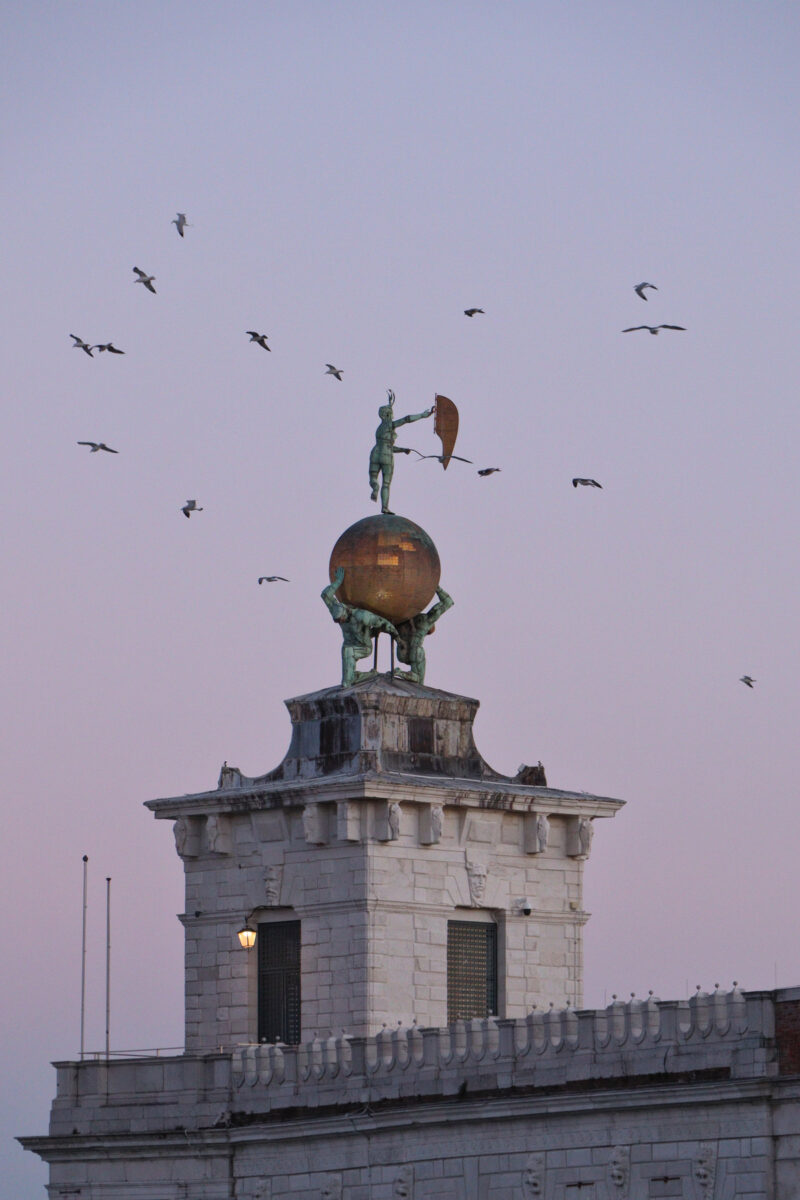 Venezia Venedig Punta della Dogana Abendlicht Vögel Möwen