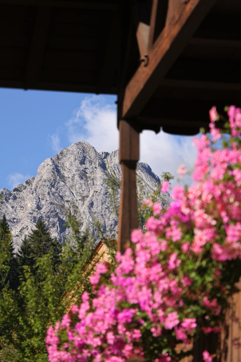 Mittenwald Wettersteinspitzen Blumen Balkon