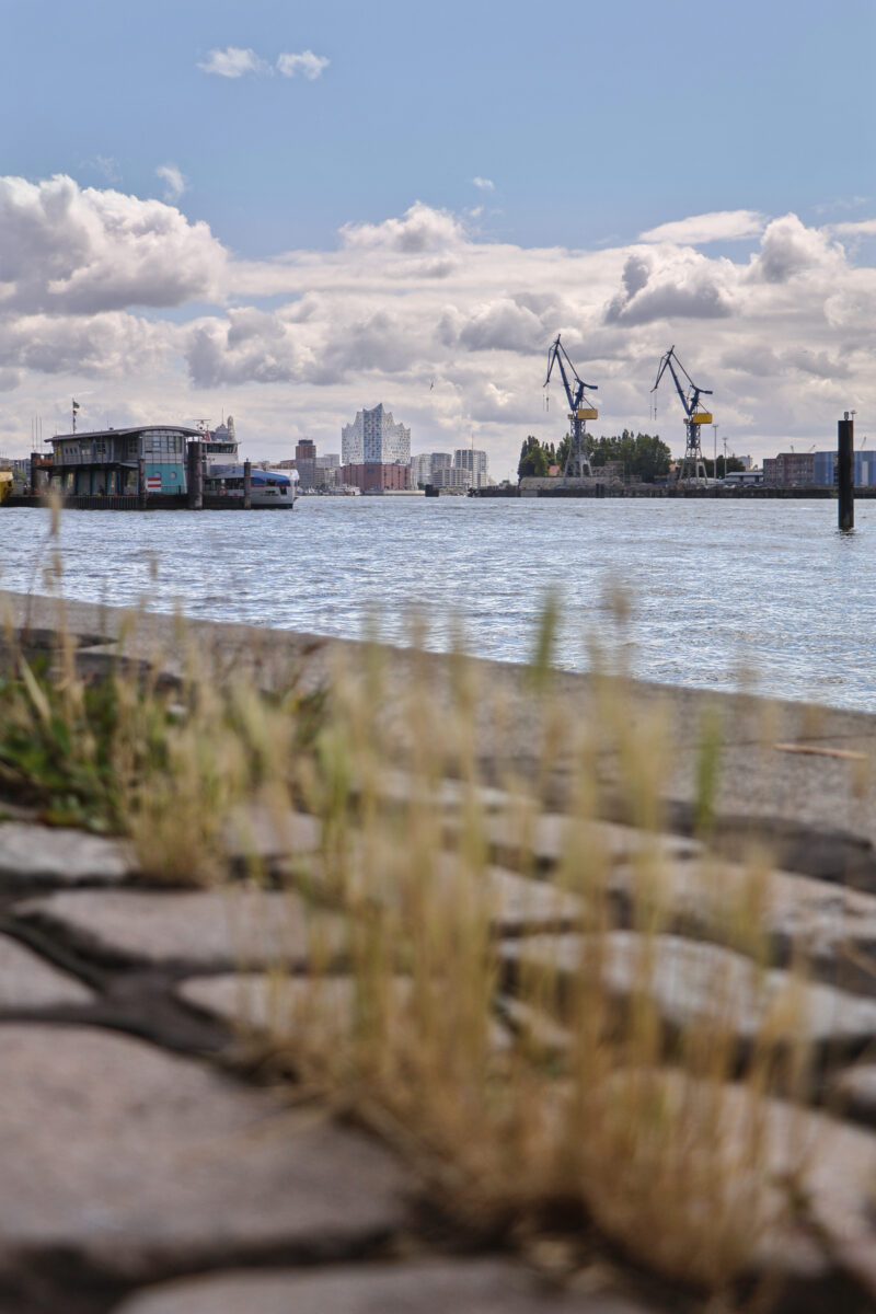 Hamburg Altona Fischmarkt Elbe Hafen Elbphilharmonie