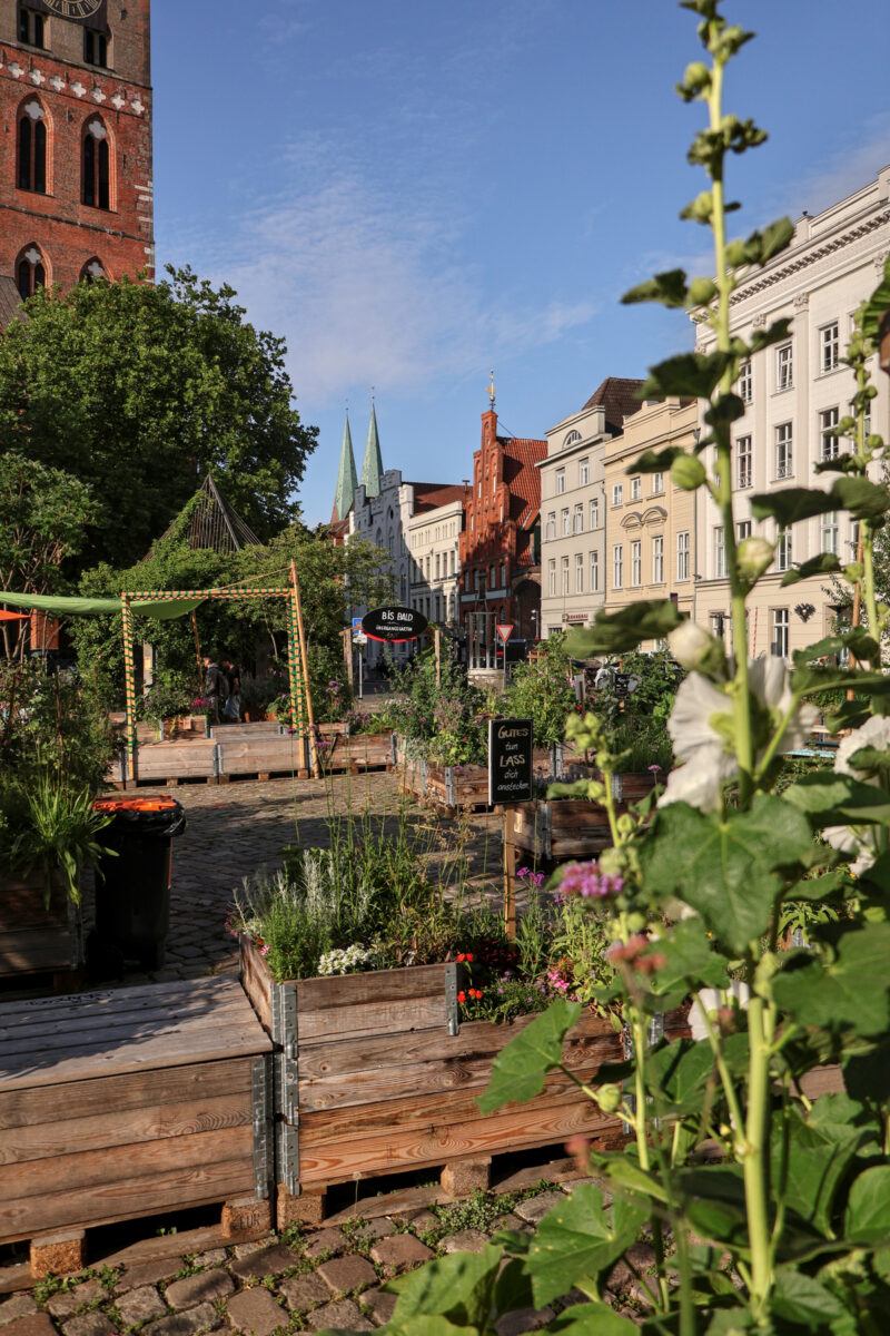 Lübeck Altstadt Übergangsgarten Geibelplatz St. Jakobi