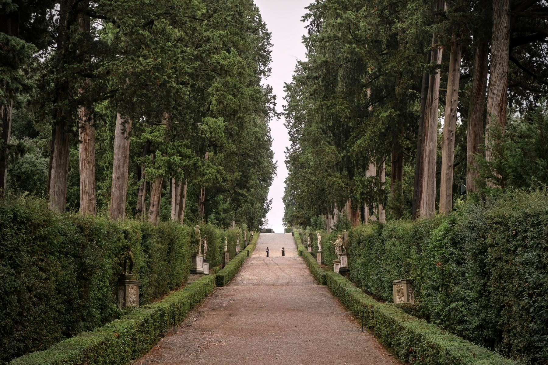 Florenz Giardino di Boboli Viale dei Cipressi Viottolone bei Regen