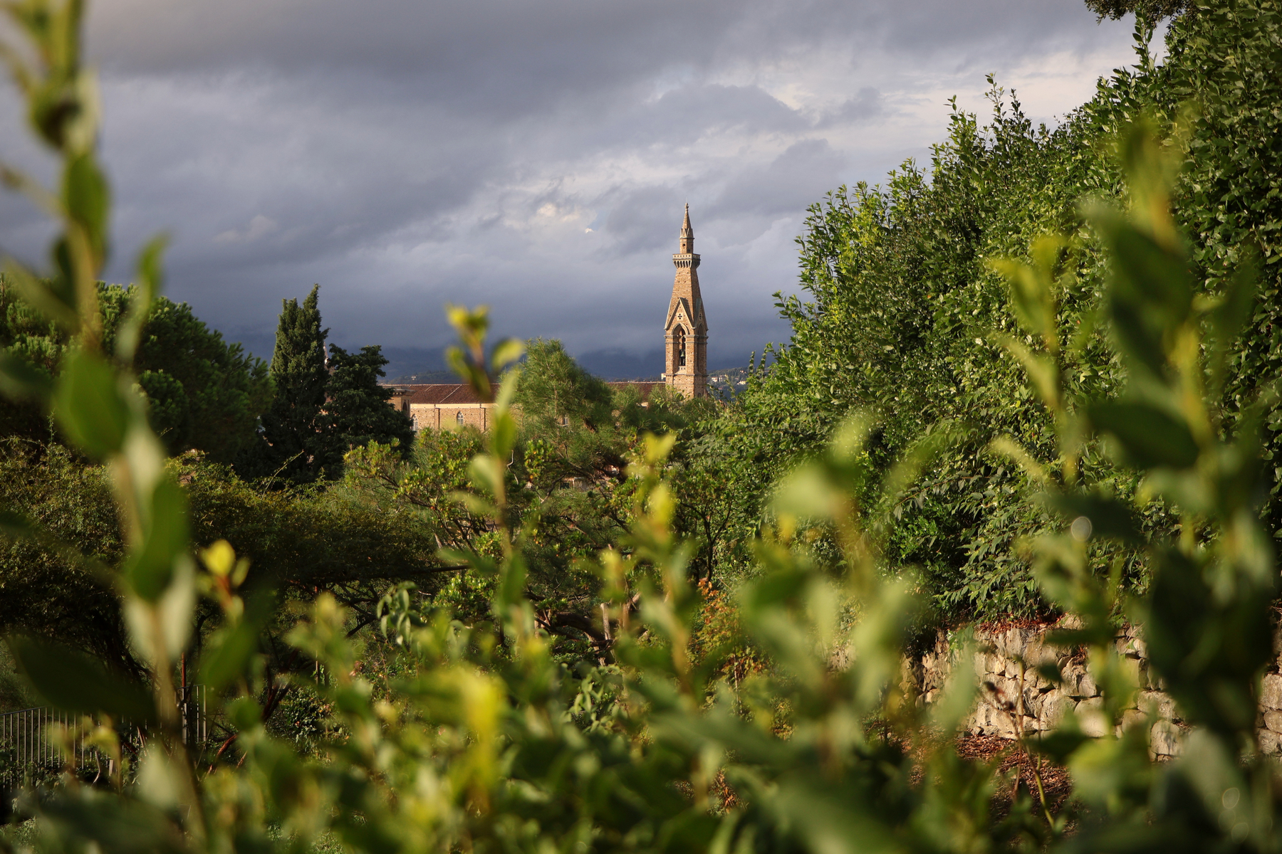 Florenz Giardino delle Rose Rosengarten bei Abendlicht Blick auf Santa Croce