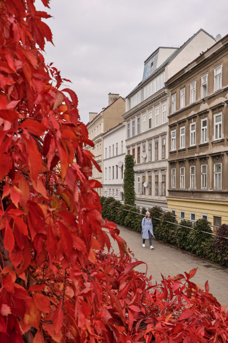 Wien Landstraße Rennweg Herbst