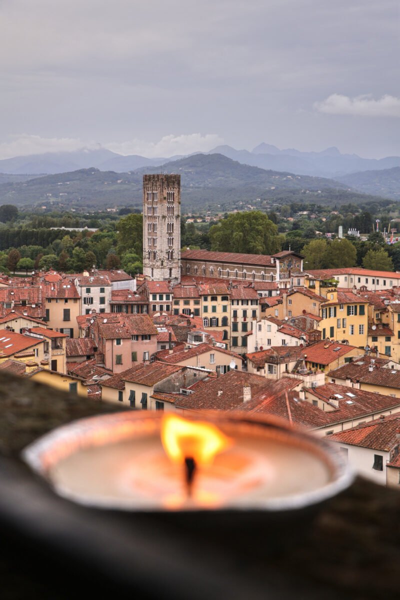 Lucca Torre Guinigi Aussicht auf die Basilica di San Frediano