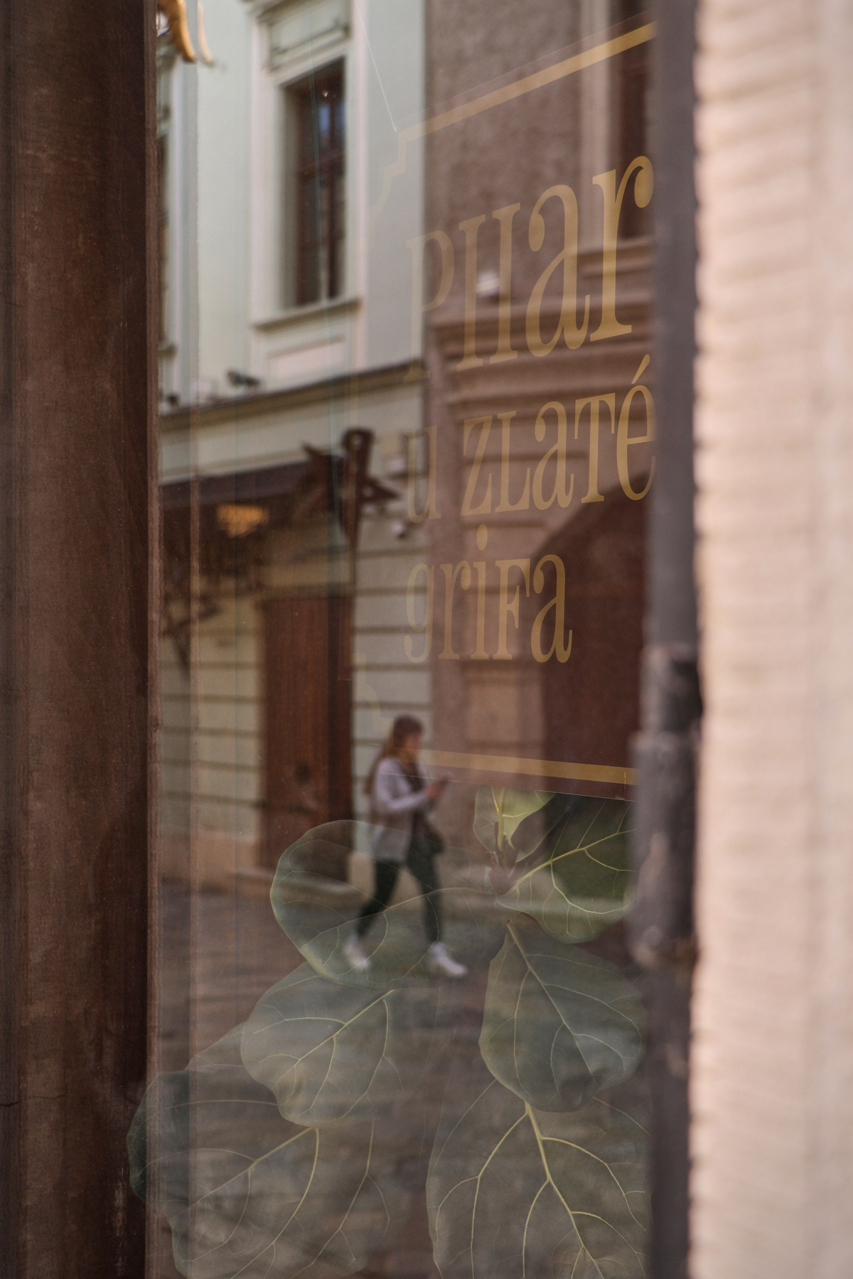 Bratislava Altstadt Apotheke Schaufenster Spiegelung