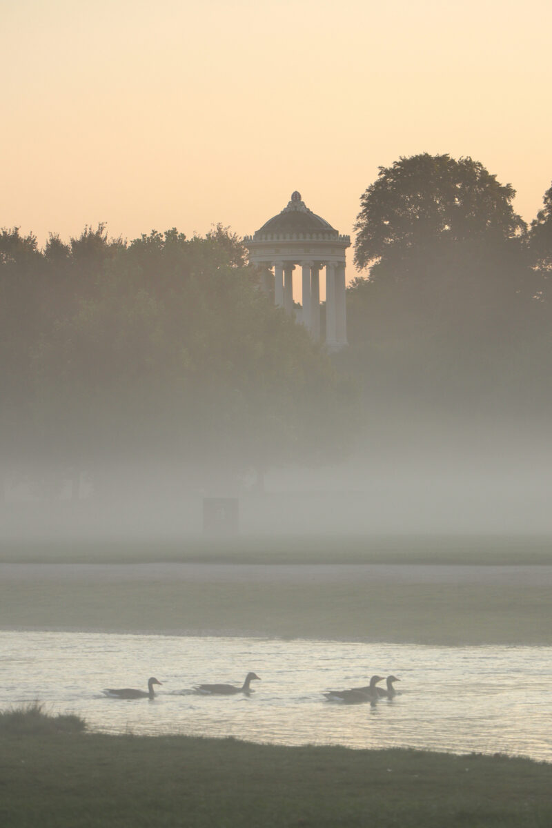 München Englischer Garten Schwabinger Bach Monopteros Sonnenaufgang Nebel