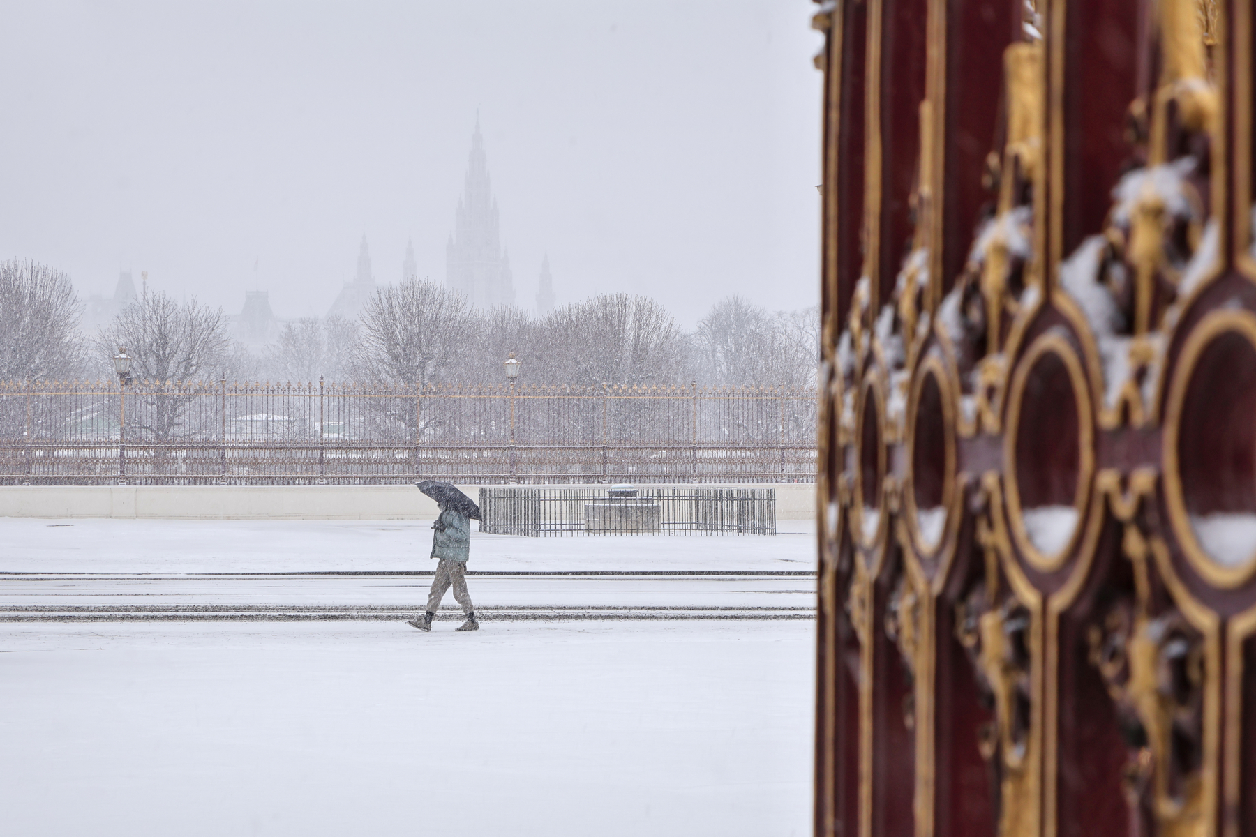 Wien Ringstraße Rathaus Hofburg Winter Schnee