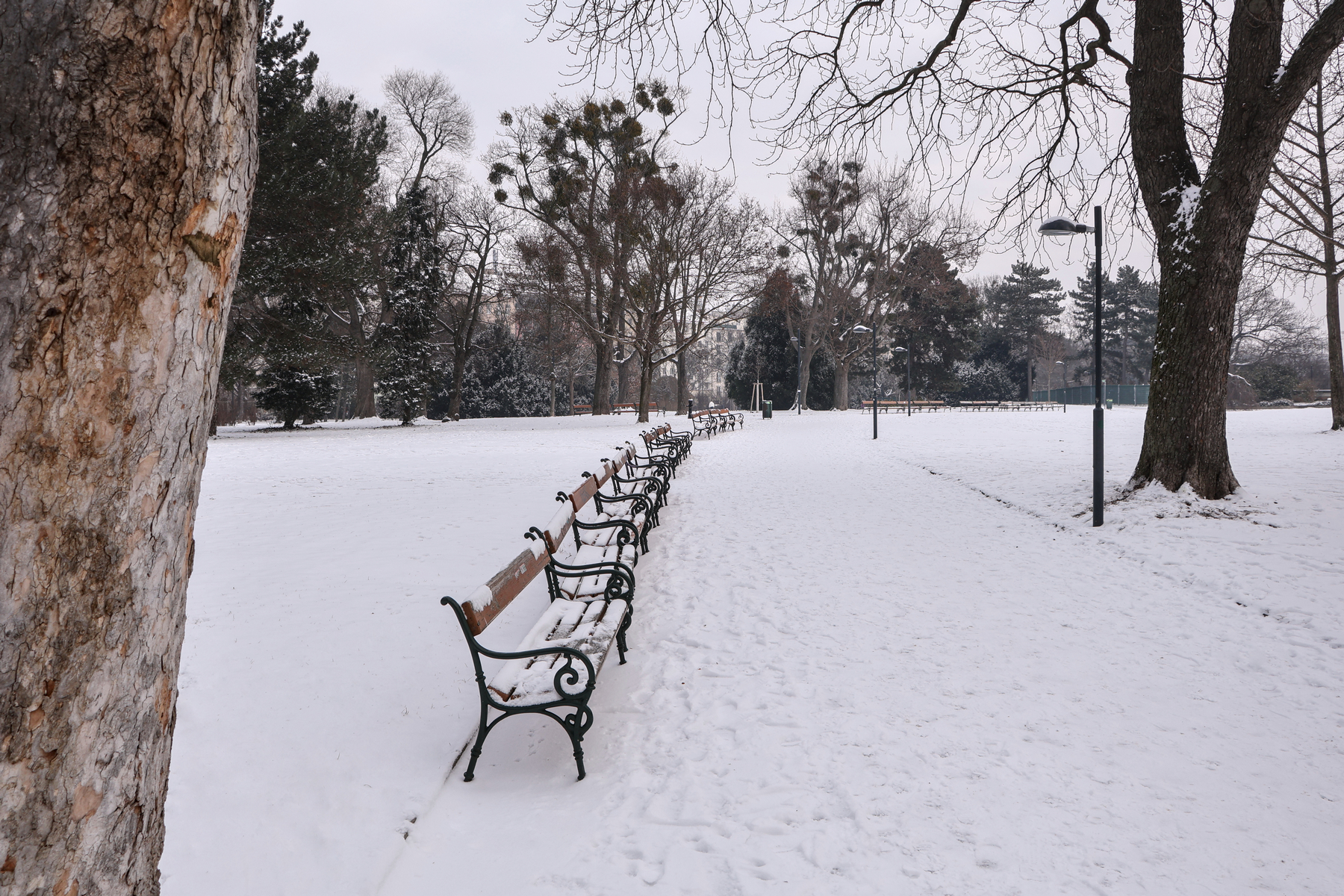 Wien Schweizergarten Quartier Belvedere Bänke Winter Schnee