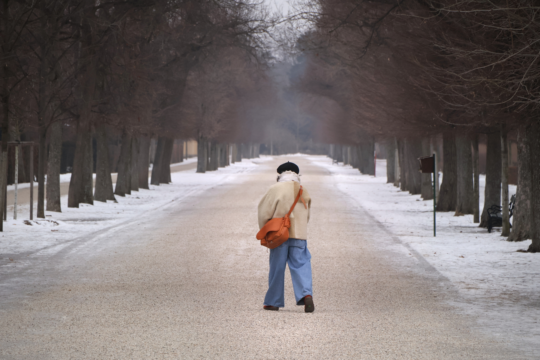 Wien Schlosspark Schönbrunn Allee Winter Schnee