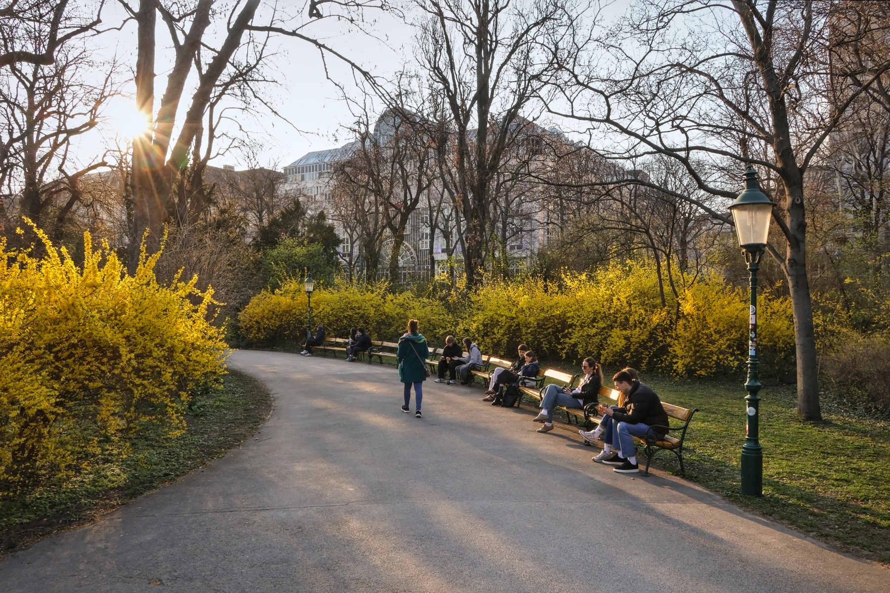 Wien Stadtpark Frühling Blüten Goldene Stunde