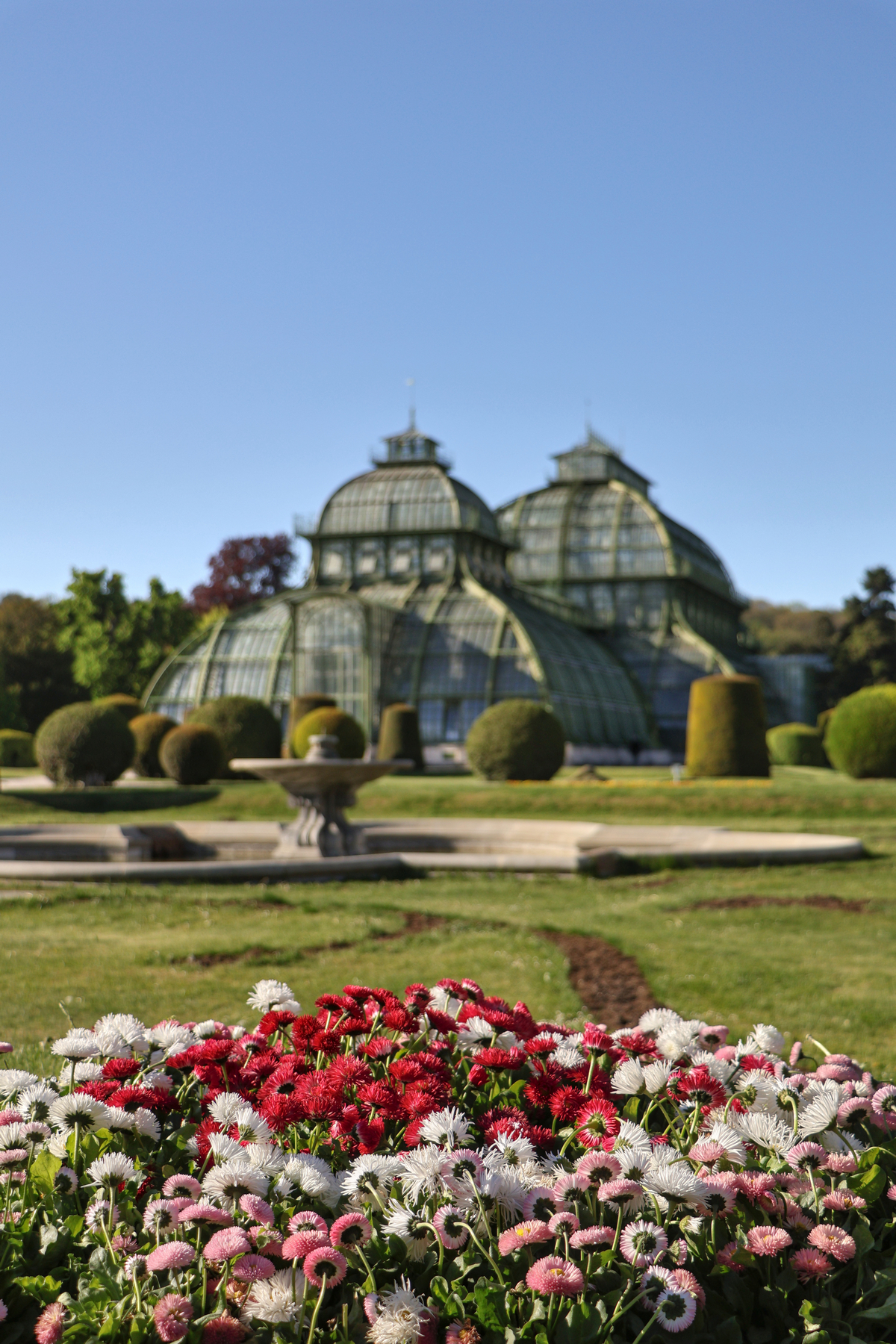 Wien Schlosspark Schönbrunn Palmenhaus