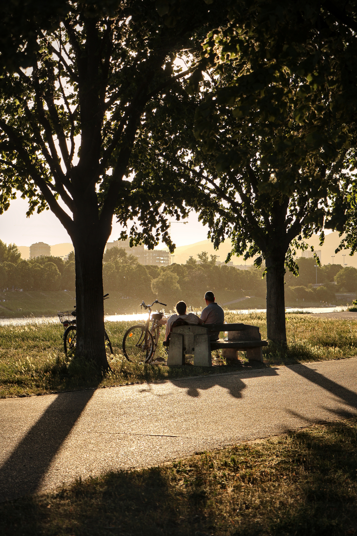 Wien Neue Donau Sommerabend Goldene Stunde Sonnenuntergang