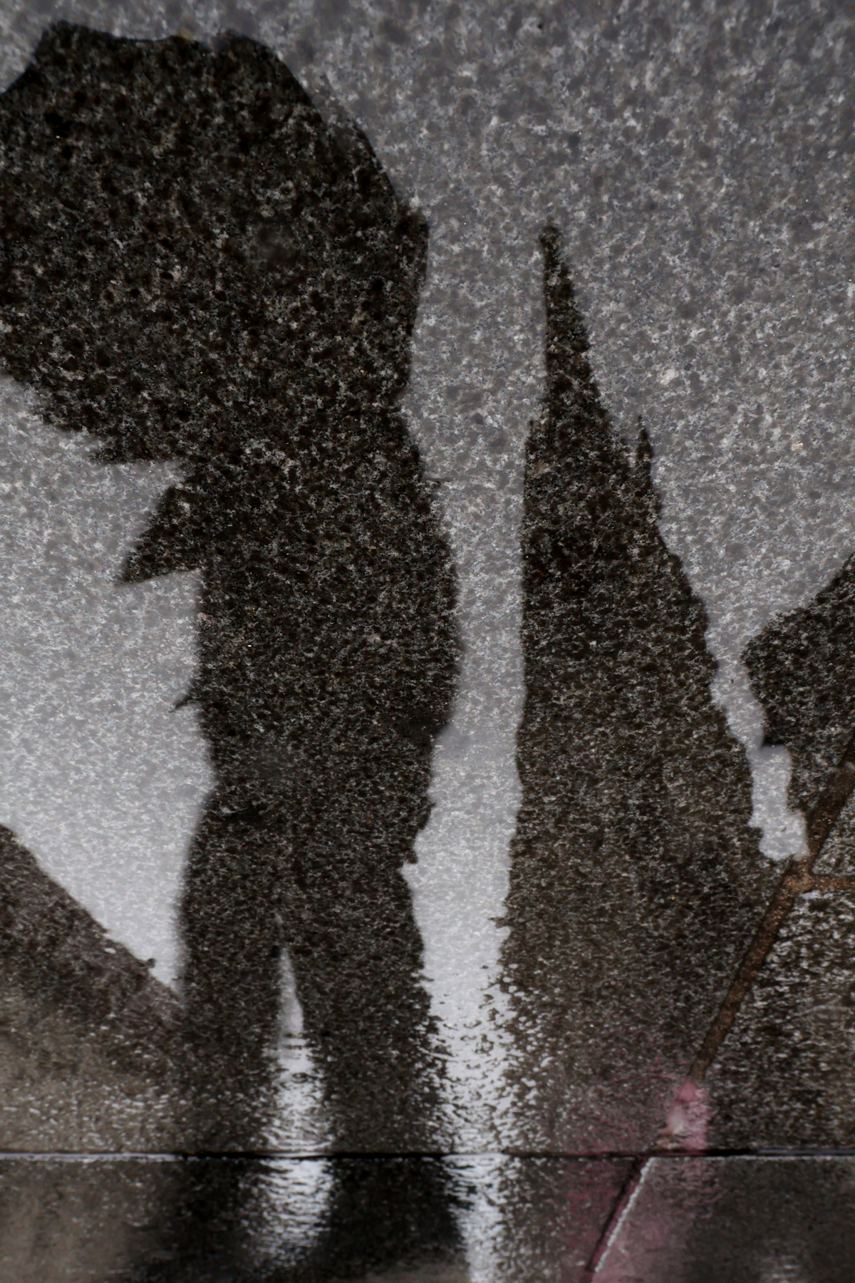 Wien Stephansplatz Stephansdom Regen Silhouetten Spiegelung