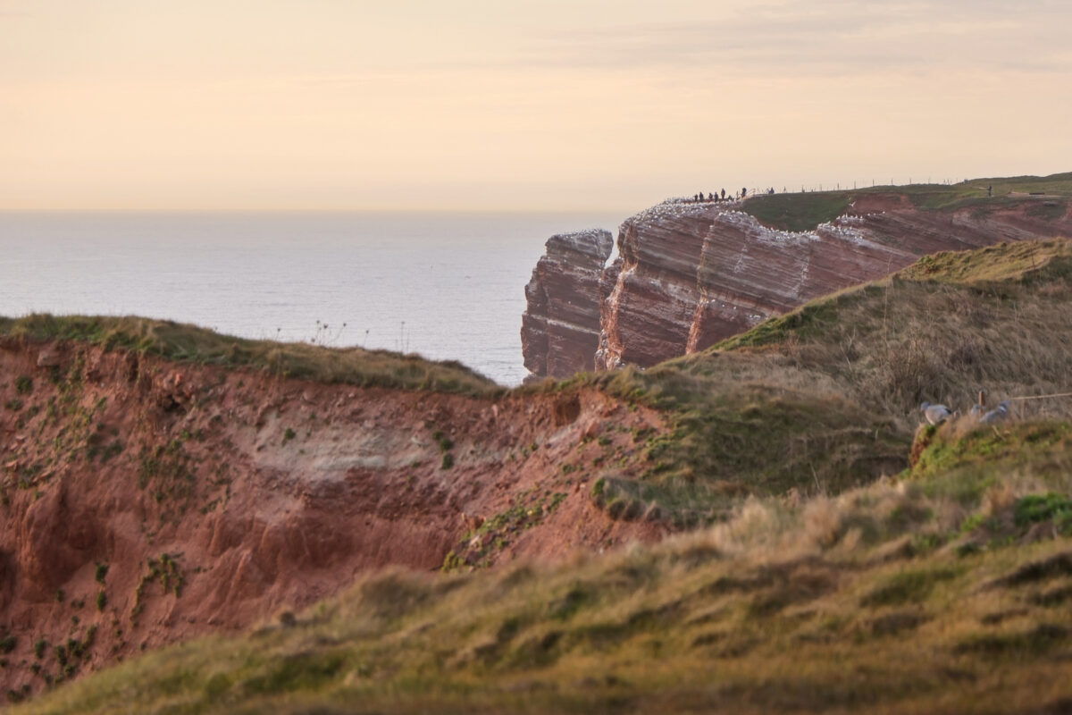 Helgoland Oberland Steilklippen zur Goldenen Stunde