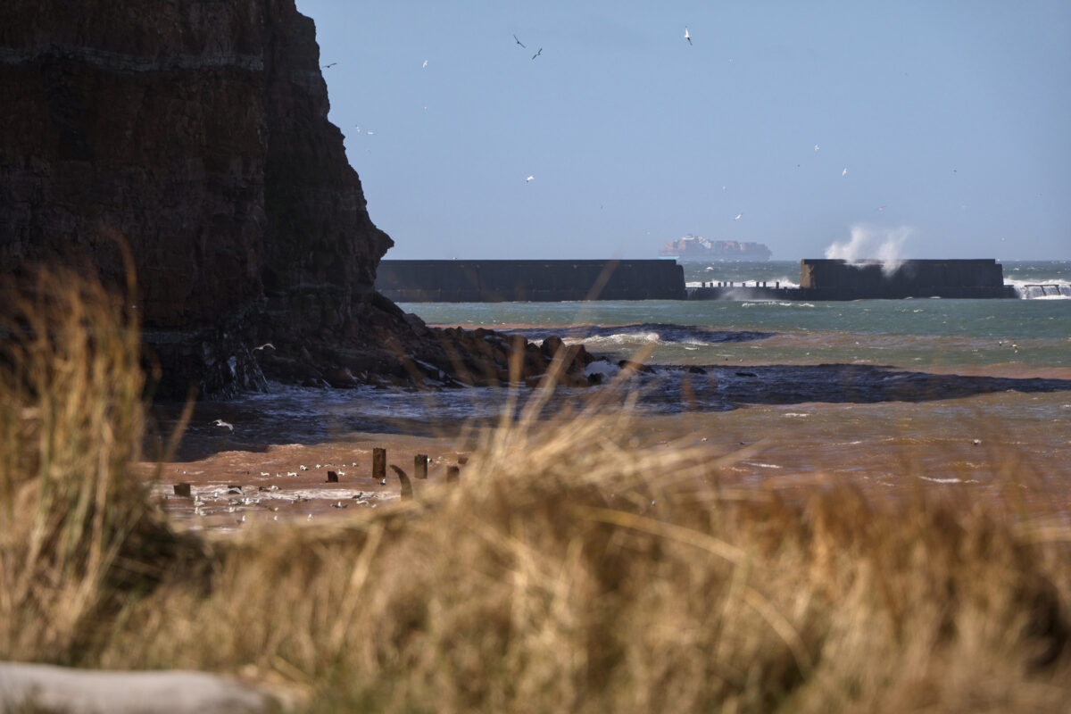 Helgoland Nordstrand Steilklippe Wellen Vögel Containerschiff